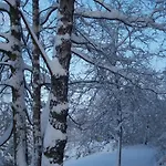 Cozy In * فرانكورشومب