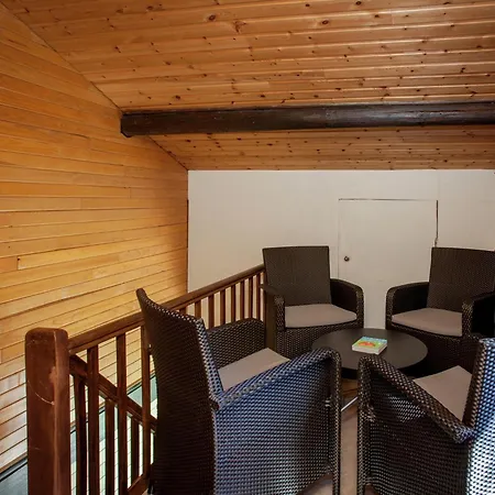 Cozy In * פרנקורשנס