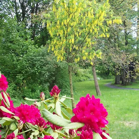 Cozy In בקתה פרנקורשנס