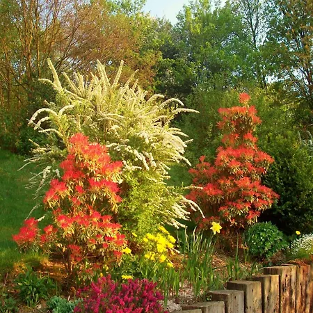 Cozy In פרנקורשנס