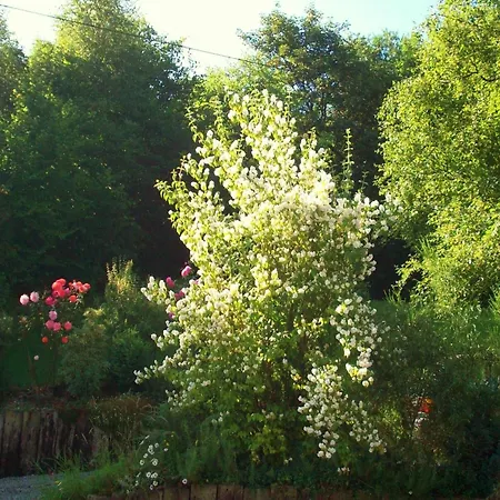 Cozy In * פרנקורשנס