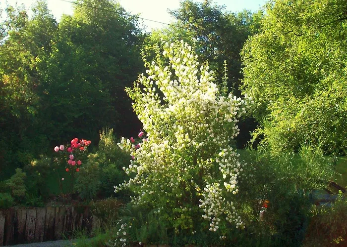 Cozy In * Francorchamps